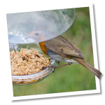 Fensterfuttersysteme Fensterfuttersysteme