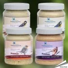 Erdnussbutter für Gartenvögel - Set von 4 Gläser