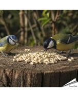 Vegetarische Fett-Leckerbissen mit Erdnüssen für Vögel ✔️ Keine tierischen Produkte - Rein pflanzlich ✔️ Ohne Palmöl - Nachhaltig ➤ Kaufe Aniculis Vogelfutter bei Hoezo-Kado