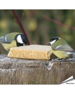 Unsere vegetarischen Fettblöcke mit Erdnüssen (Vegan) ohne Palmöl offerieren eine gesunde und nachhaltige Möglichkeit, Deine Vögel zu verwöhnen. Erdnüsse verfügen über gute Nahrungseigenschaften wie Ballaststoffe, Proteine und gesunden Fette und sind eine