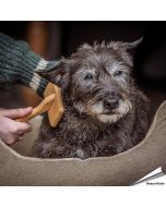 Bamboe Zachte Slicker Borstel (klein)