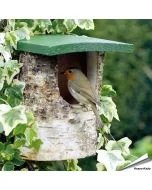 Natürliche Birken-Nisthöhle für Rotkehlchen & andere Halbhöhlenbrüter ✔️ Halboffene Nisthilfe aus Holz ✔️ Idealer Nistplatz für Garten und Balkon