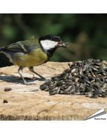 Schwarze Sonnenblumenkerne sind eine der meist beliebten Futtersorten von Gartenvögeln und enthalten einen hohen Anteil an ungesättigten Proteinen und Ölen - Bestelle bei Hoezo-Kado