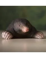 DecoAnimal Maulwurf von Wildlife Garden, handgeschnitzte Holzfigur mit naturgetreuer Gestaltung, breiten Grabpfoten und langgestreckter Schnauze.