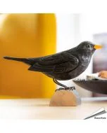 Handgeschnitzter Stieglitz in Naturgrösse ✔️ Mit ungiftigen Farben naturgetreu bemalt ✔️ Originelles Geschenk für Vogel- und Naturliebhaber ➤ Hoezo-Kado
