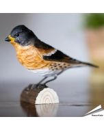 Bergfink (Fringilla montifringilla) | Handgeschnitzt | Online kaufen - Hoezo-Kado
