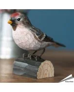 Handgefertigter Birkenzeisig in Lebensgröße ✔️ Realistische Bemalung mit Farben ✔️ Ein besonderes Geschenk für Vogel- und Naturliebhaber ➤ www.hoezo-kado.de