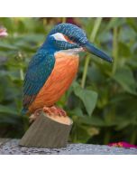 DecoBird - Eisvogel