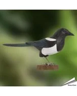 Handgeschnitzte Elster aus Holz mit markanter schwarz-weißer Farbverteilung und langer Schwanzpartie. Dekorative Geschenkidee für Vogel- und Naturfreunde.