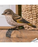 Handgeschnitzter, nordamerikanischer Fichtenzeisig in Naturgrösse ✔️ Mit ungiftigen Farben naturgetreu bemalt ✔️ Originelles Geschenk für Vogel- und Naturliebhaber ✔️ Kaufe online bei Hoezo-Kado