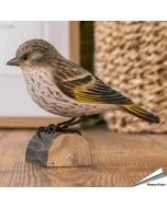 DecoBird Fichtenzeisig von Wildlife Garden, handgeschnitzt aus Holz und naturgetreu gestaltet mit brauner Oberseite und gelb-schwarzen Akzenten.