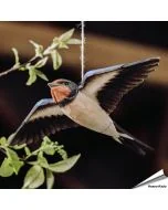 Handgeschnitzte, fliegende Rauchschwalbe in Naturgrösse ✓ Mit Farben naturgetreu bemalt ✓ Originelles Geschenk für Vogel- und Naturliebhaber ✓ Hoezo-Kado