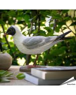 Realistische, handgeschnitzte Lachmöwe ✔️ Mit ungiftigen Farben naturgetreu bemalt ✔️ Originelles Geschenk für Vogel- und Naturliebhaber ✔️ Kaufe online bei Hoezo-Kado
