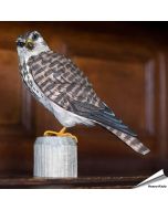 Realistischer, handgeschnitzter Merlin (Raubvogel) ✔️ Mit ungiftigen Farben naturgetreu bemalt ✔️ Originelles Geschenk für Vogel- und Naturliebhaber ✔️ Kaufe online bei Hoezo-Kado