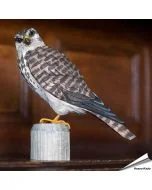 Realistischer, handgeschnitzter Merlin (Raubvogel) ✔️ Mit ungiftigen Farben naturgetreu bemalt ✔️ Originelles Geschenk für Vogel- und Naturliebhaber ✔️ Kaufe online bei Hoezo-Kado