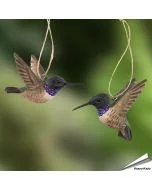DecoBird Schwarzkinnkolibris von Wildlife Garden, 2er-Set handgeschnitzter Holzvögel mit naturgetreuer Gestaltung und Aufhängung.