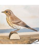 Singdrossel (Turdus philomelos) | Handgeschnitzt | Online kaufen - Hoezo-Kado