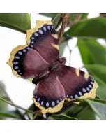 Die DecoButterfly Serie von WildlifeGarden kann sowohl als Dekoration wie auch als Geschenk verwendet werden.