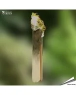 Wunderschöne Wäscheklammern mit handgeschnitzten Tieren. DecoClip Frosch ist eine spezielle Art von Wäschklammern in Holz.