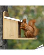 Futterhaus für Eichhörnchen XL ✔️ Nachhaltiges Kiefernholz, verschraubte Konstruktion ✔️ Verkürzte Plexiglas-Scheibe ✔️ Metall-Dach ➤ Bestelle bei Hoezo-Kado