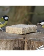 Energieblock mit Insekten
