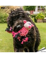 Farmyard Buddies - Nudel-Schweinchen