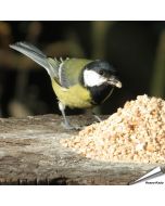 Fein gehackte Premium Erdnüsse (1 kg)