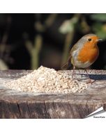 Hochwertiges Wildvogelfutter von Aniculis speziell für kleine Vogelarten ✔️ Mit Sonnenblumenkernen und gehackten Erdnüssen ✔️ Ganzjährig füttern ➤ Bestelle auf www.hoezo-kado.de