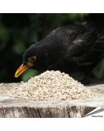 Geschälte und gehackte Sonnenblumenkerne ✔️ Ganzjährige, natürliche Futterquelle für Wildvögel ✔️ Unkrautfrei ➤ Bestelle online bei Hoezo-Kado