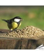 Hanfsamen für Wildvögel online kaufen? www.hoezo-kado.de