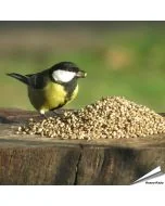 Hanfsamen für Wildvögel online kaufen? www.hoezo-kado.de