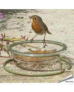 I love Robins - Grundfuttertisch