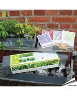 Küchenkräuter - Pflanzenkasten