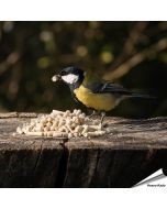Mit Fettprodukten wie diese nahrhaften Fett-Leckerbissen können Deine Gartenvögel zusätzliche Energiereserven aufbauen. Viele Vogelarten wie z.B. Rotkehlchen, Amseln aber auch Meisen, Sperlinge, Stare und andere Wildvögel lieben dieses proteinreiche, unkr