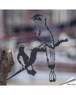 Metalbird - Blauscheitelmotmot & Gelbbrauenspecht (Cortenstahl)