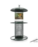 Metall-Erdnuss-Futterspender - 260mm (Grün) - www.hoezo-kado.de