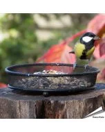 Langlebiger Grundfuttertisch aus Metall ✔️ Hochwertige Verarbeitung ✔️ Leicht zu reinigen ✔️ Optimal für die Fütterung von Wildvögeln im Garten & auf dem Balkon
