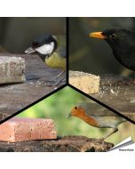 MIXPack - Energieblöcke Beeren, Insekten und Mehlwürmer (12 x 280g)