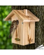 Nistkasten Anson aus Holz ✔️ 34 mmEinflugöffnung für Spatzen & Co. ✔️ FSC 100% Holz ✔️ Mit praktischer Seitenklappe ➤ Jetzt bei Hoezo-Kado entdecken