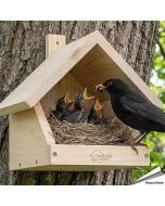 WILDLIFE HOME Vogel Nistkasten für Amseln, Rotkehlchen, Rotschwänzchen & Halbhöhlenbrüter mit Metalldach I nach NABU aus verschraubtem Massiv-Holz I Wetterfest & Unbehandelt I Vogelhaus
