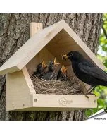 WILDLIFE HOME Vogel Nistkasten für Amseln, Rotkehlchen, Rotschwänzchen & Halbhöhlenbrüter mit Metalldach I nach NABU aus verschraubtem Massiv-Holz I Wetterfest & Unbehandelt I Vogelhaus