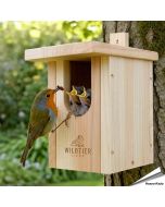 Artgerechter Nistkasten für Nischenbrüter wie Rotkehlchen & Co. ✔️ Halbhöhle ✔️ Verschraubtes Massiv-Holz nach NABU ➤ Bestelle jetzt auf Hoezo-Kado