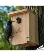 Robuster, artgerechter Nistkasten für Stare und Buntspechte ✔️ Einflugöffnung 45mm ✔️ Verschraubtes Massiv-Holz nach NABU ➤ Kaufe bei Hoezo-Kado