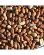 Premium pinda's (2 kg)