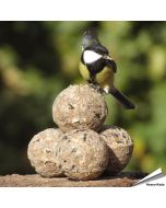 Premium Insektenfett-Meisenknödel (45 x 90g)