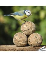 Insektenfett-Meisenknödel von Aniculis ✔️ Insektenknödel ohne Rindertalg ✔️ Energie- und proteinreiche Nahrungsquelle ✔️ Ohne Netz ➤ Online kaufen auf www.hoezo-kado.de