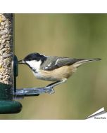 Ring-Pull Sitzringe für Futtersäulen