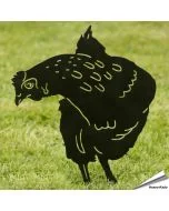 Silhouette Kip - Hen