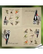 Hochwertige 3-lagige Servietten mit Vogelmotiv ✔️ Bringe die Natur auf den Tisch ✔️ FSC-zertifiziert, biologisch abbaubar ➤ Bestelle bei Hoezo-Kado