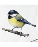 Kohlmeise-Servietten - Vogel-Motiv | 20 Stück | Hoezo-Kado